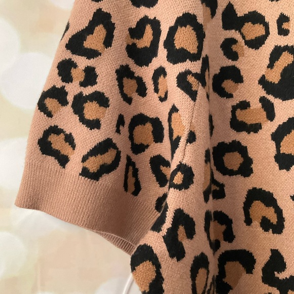 Rachel Zoe Short Sleeve Cheetah Sweater - Picture 4 of 6